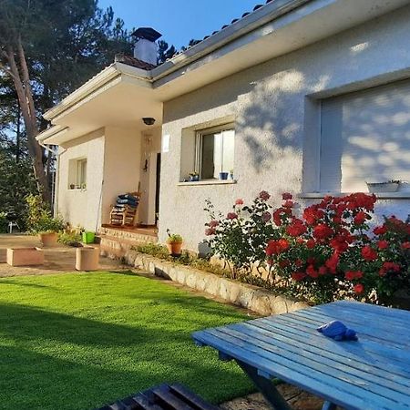 Entre Pinos Y Medusas Apartment Pedrezuela Екстериор снимка