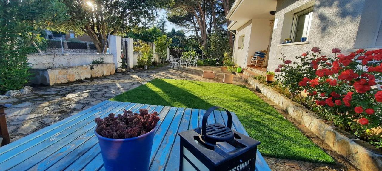 Entre Pinos Y Medusas Apartment Pedrezuela Екстериор снимка
