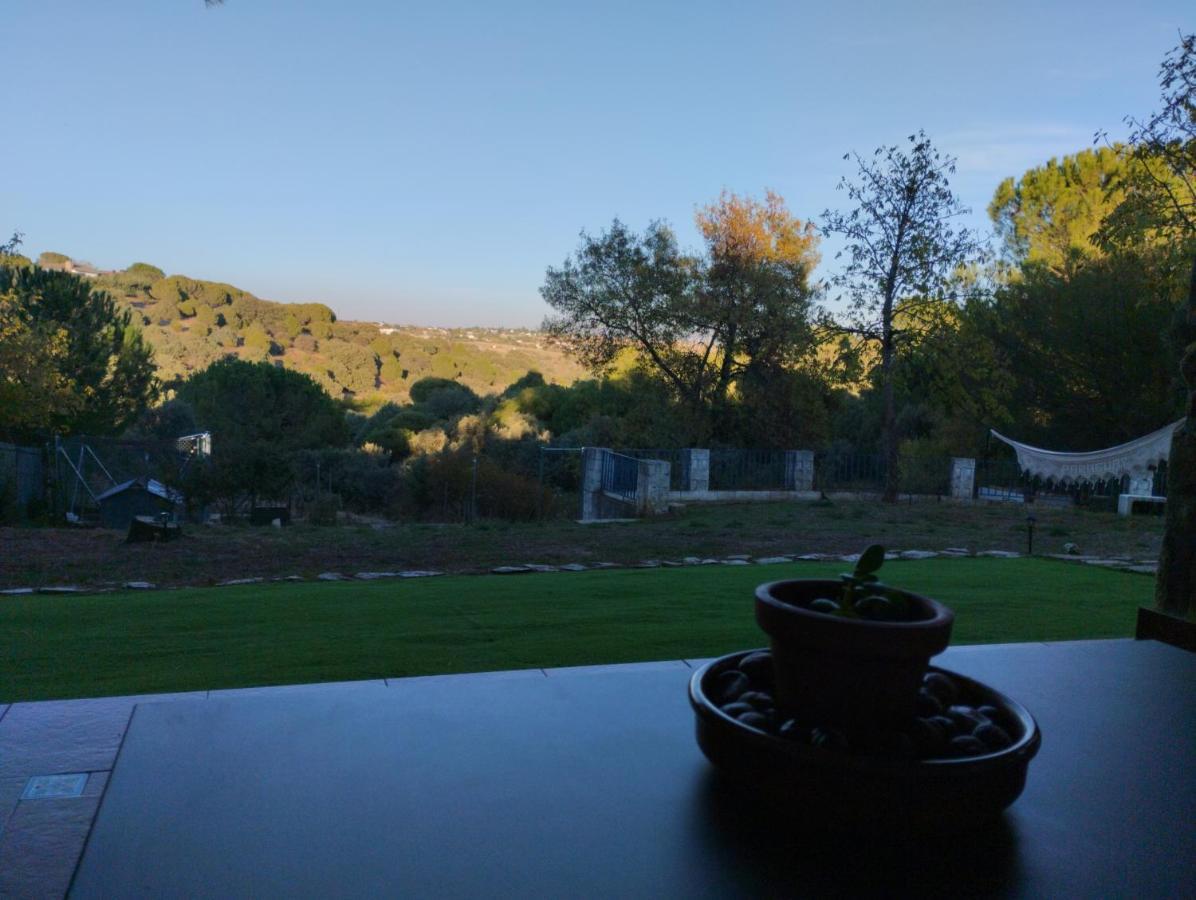 Entre Pinos Y Medusas Apartment Pedrezuela Екстериор снимка